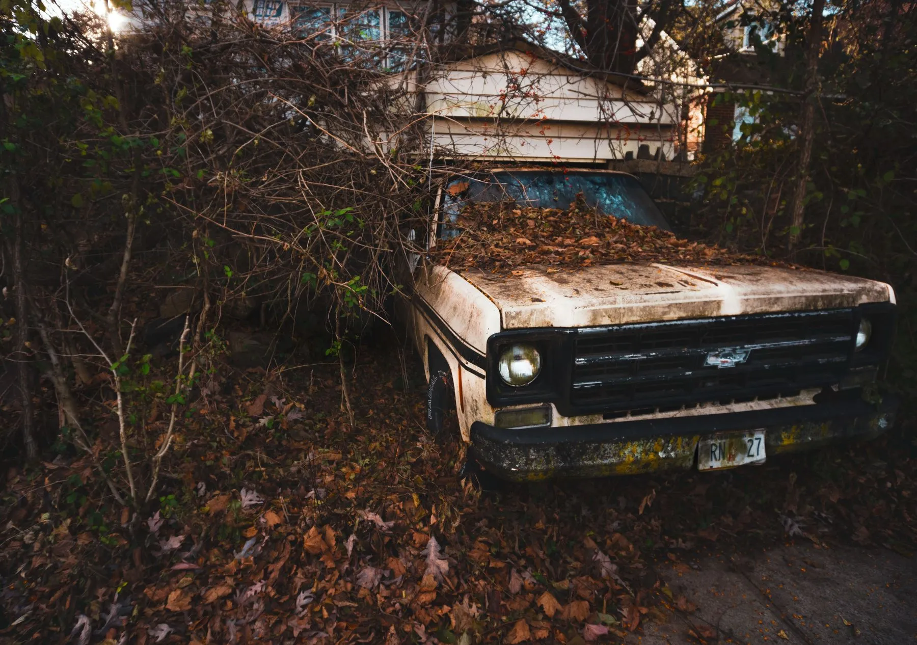 An old pickup truck parked among fallen leaves and overgrown brush