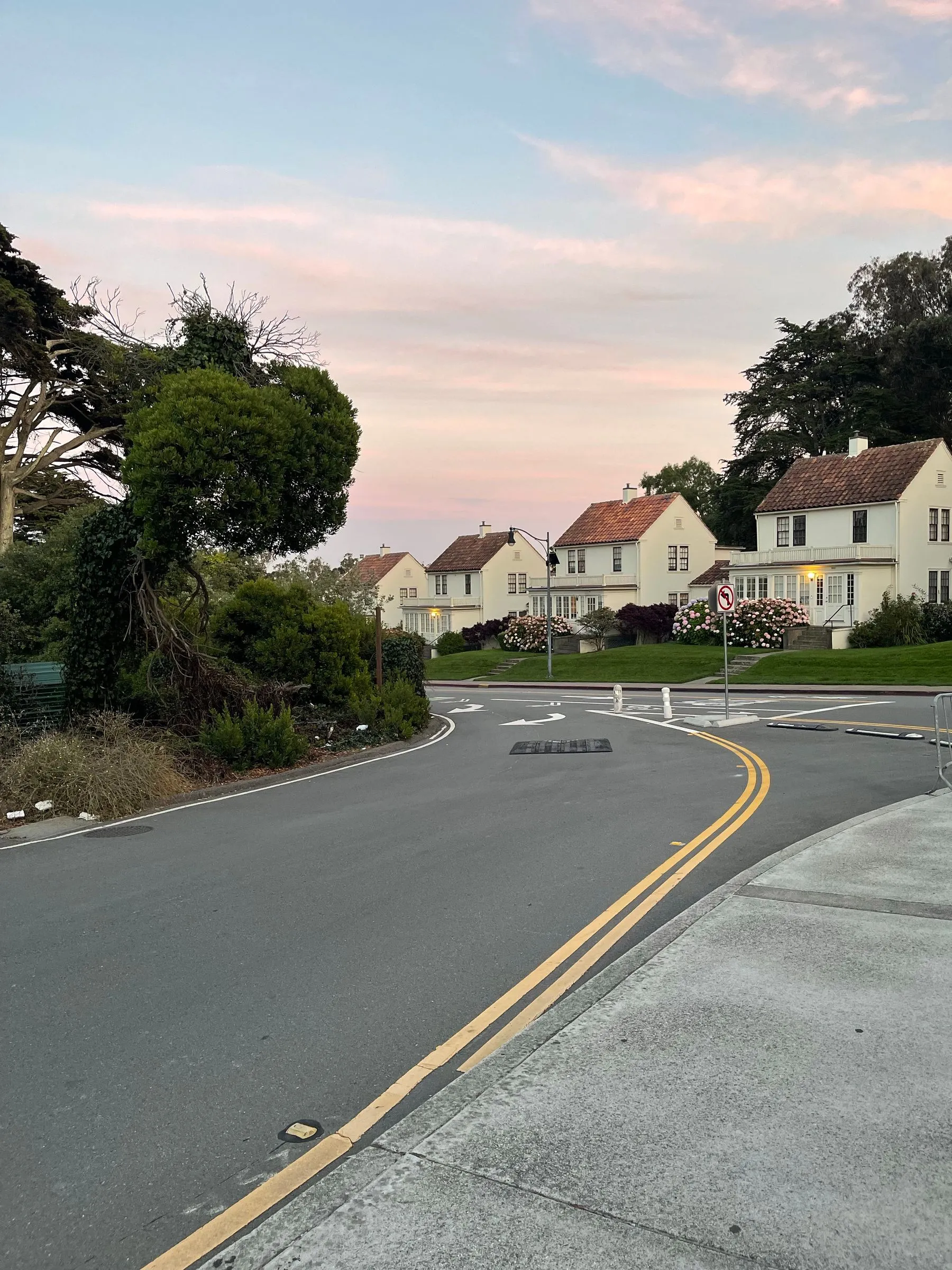 A residential street with houses and trees at dusk